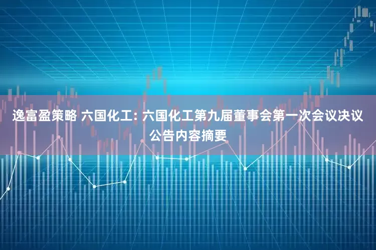 逸富盈策略 六国化工: 六国化工第九届董事会第一次会议决议公告内容摘要