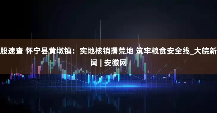 股速查 怀宁县黄墩镇：实地核销撂荒地 筑牢粮食安全线_大皖新闻 | 安徽网