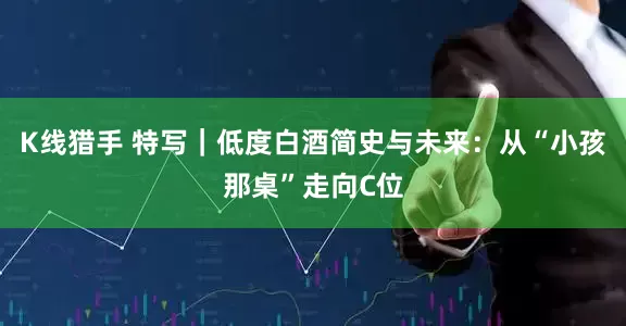 K线猎手 特写｜低度白酒简史与未来：从“小孩那桌”走向C位