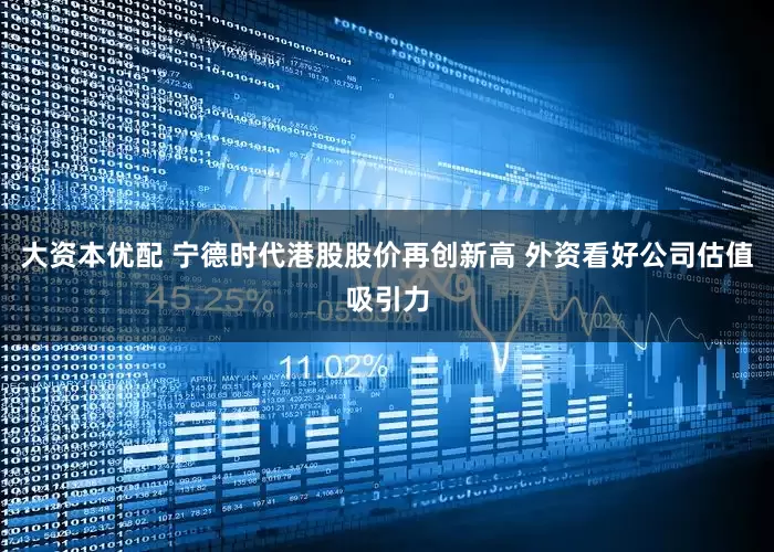 大资本优配 宁德时代港股股价再创新高 外资看好公司估值吸引力