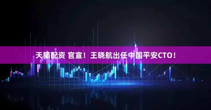天猫配资 官宣！王晓航出任中国平安CTO！