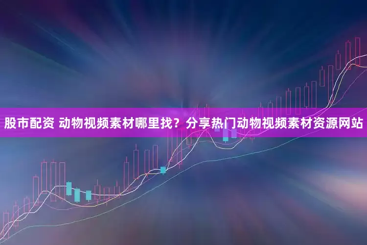 股市配资 动物视频素材哪里找？分享热门动物视频素材资源网站