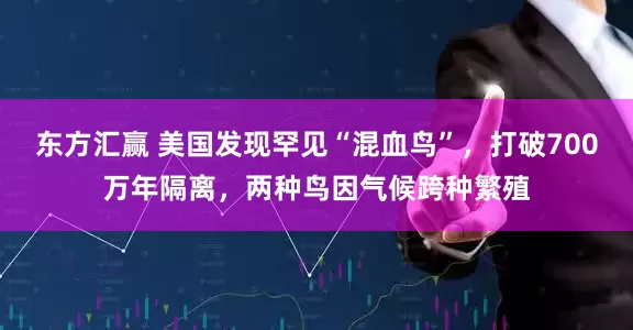 东方汇赢 美国发现罕见“混血鸟”，打破700万年隔离，两种鸟因气候跨种繁殖