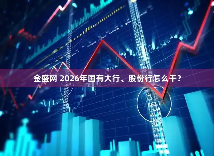 金盛网 2026年国有大行、股份行怎么干？